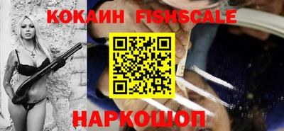 гашик Гатчина