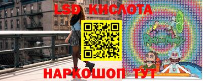 шишки Гай