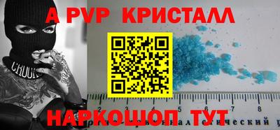 шишки Гай