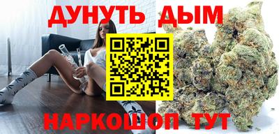 шишки Гай