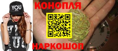 гашик Гатчина