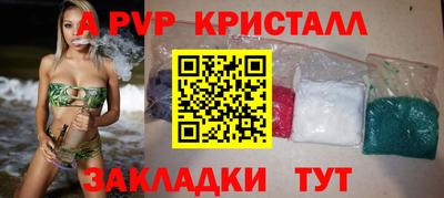 шишки Гай