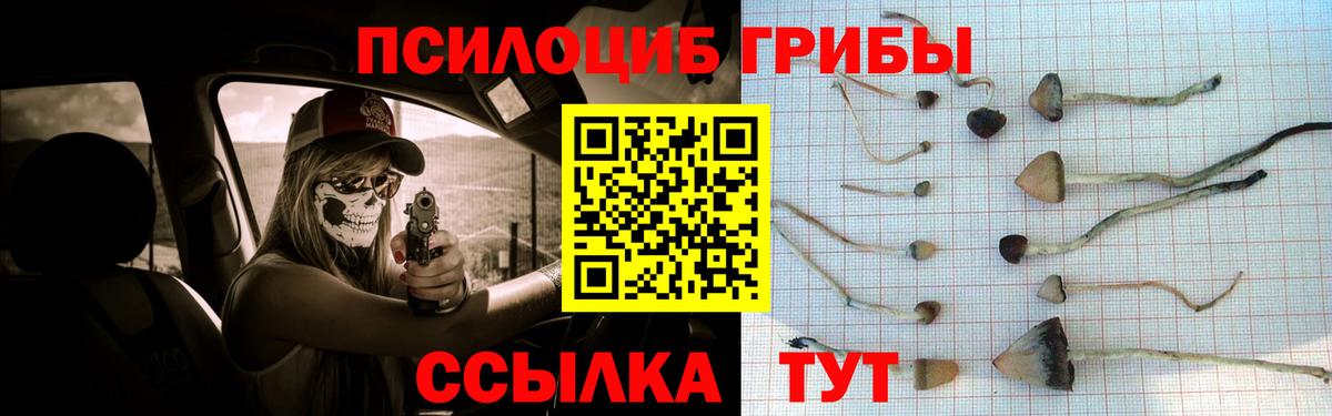 Добрянка  Псилоцибиновые грибы Psilocybine cubensis  Вход с VPN 